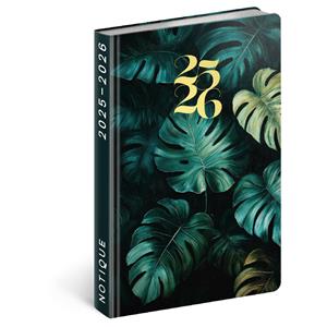 18-month Petito diary - Monstera 2025/2026