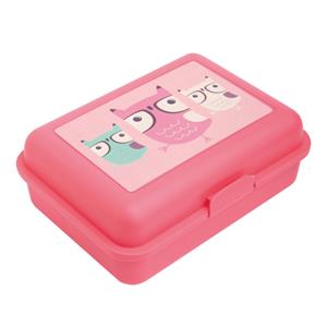 Box Lunch Owls