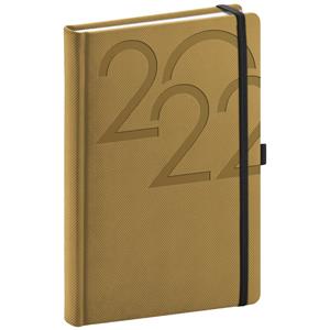 Daily Diary 2022 A5 Ajax - gold
