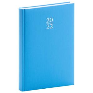 Daily Diary 2022 A5 Capys - light blue