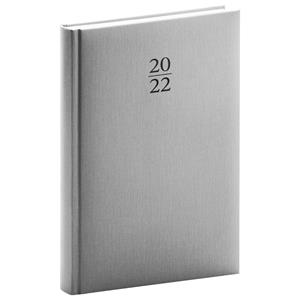 Daily Diary 2022 A5 Capys - silver