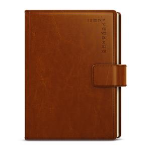 Daily Diary 2022 Ctirad s výsekem - Manager A5 - Brown