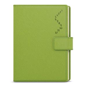 Daily Diary 2022 Ctirad s výsekem - Manager color A5 - Green