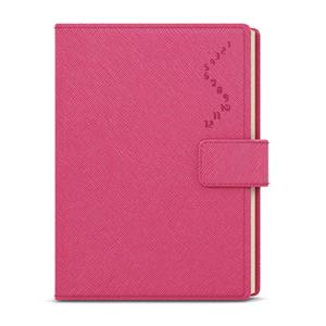 Daily Diary 2022 Ctirad s výsekem - Manager color A5 - Pink