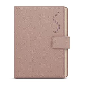 Daily Diary 2022 Ctirad s výsekem - Manager color A5 - Powder