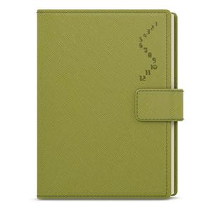 Daily Diary 2023 Ctirad with cutout- Manager color A5 - Green