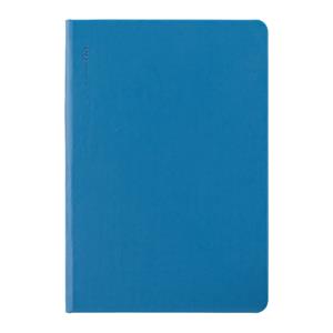 Daily diary 2026 Apple A5 - blue