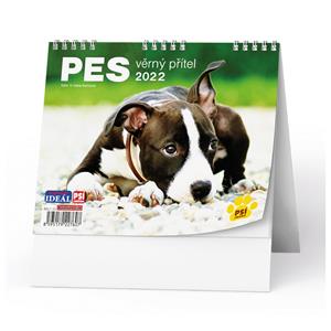 Desk Calendar 2022 IDEAL - Dog - Loyal Friend/with Dogs names