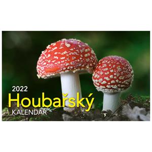 Desk Calendar 2022 - Mushroom