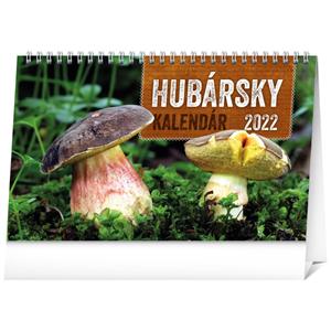 Desk Calendar 2022 Mushrooming Calendar SK