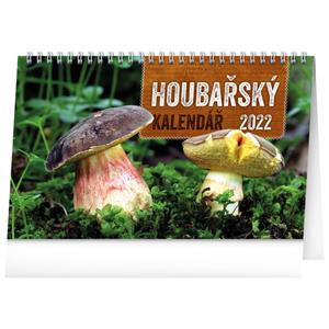 Desk Calendar 2022 Mushrooms