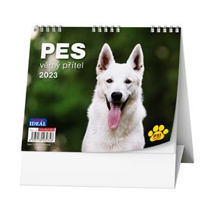 Desk Calendar 2023 IDEAL - Dog - Loyal Friend/with Dogs names
