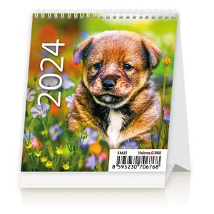 Desk Calendar 2024 - Mini Puppies