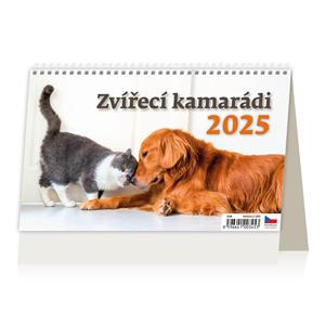 Desk Calendar 2025 - Firends