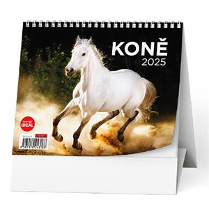 Desk Calendar 2025 IDEAL - Horses