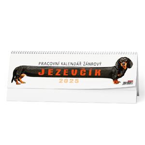 Desk Calendar 2025 Work Genre Calendar - Dachshund