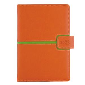 Diary MAGNETIC daily A5 2023 Czech - orange/green