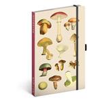 Funny Notebook Mushrooms Katerina Winter A5 - lined