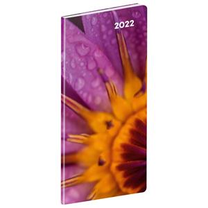 Monthly pocket Diary 2022 Ladybug SK