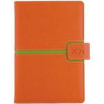 Tagebuch MAGNETIC täglich A5 2024 Tschechisch - orange/grün