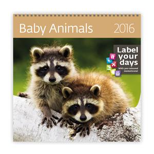 Wall Calendar 2016 Baby Animals