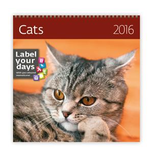Wall Calendar 2016 Cats