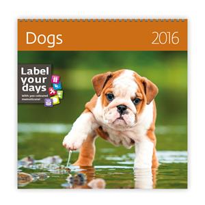 Wall Calendar 2016 Dogs
