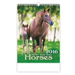 Wall Calendar 2016 Horses