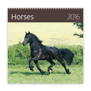 Wall Calendar 2016 Horses