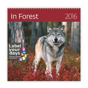 Wall Calendar 2016 In Forest
