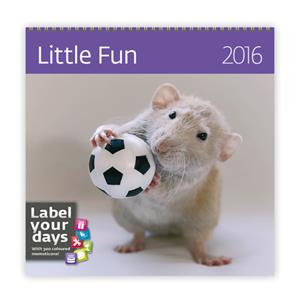 Wall Calendar 2016 Little Fun