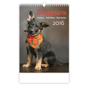 Wall Calendar 2016 Puppies
