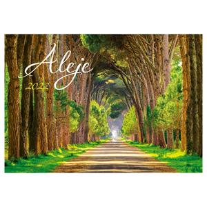 Wall Calendar 2022 - Alley