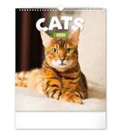 Wall Calendar 2023 Cats