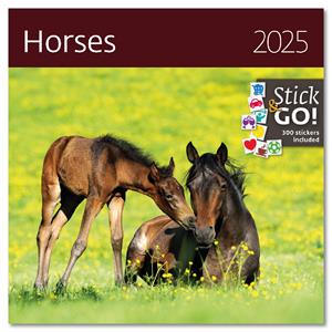 Wall Calendar 2025 - Dogs