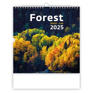 Wall Calendar 2025 - Forest/Wald/Les