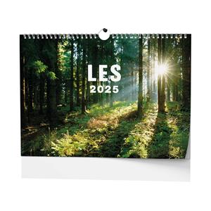 Wall Calendar 2025 Forest