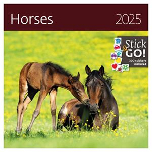 Wall Calendar 2025 - Horses