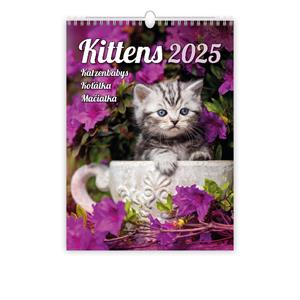 Wall Calendar 2025 - Kittens