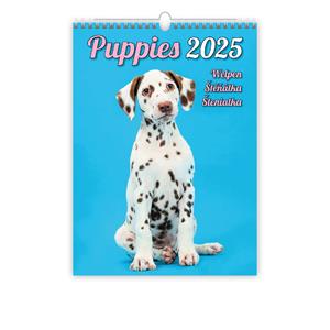 Wall Calendar 2025 - Puppies