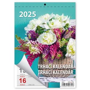 Wall Calendar 2025 Tear off A5
