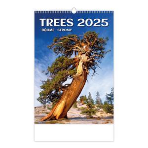 Wall Calendar 2025 - Trees