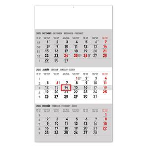 Wall calendar 2026 3-month standard gray - with Slovak names