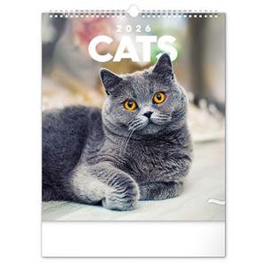 Wall calendar 2026 Cats