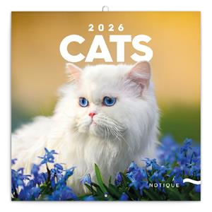 Wall calendar 2026 Cats