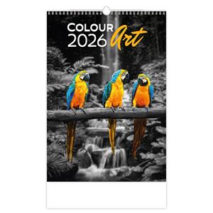 Wall Calendar 2026 - Colour Art