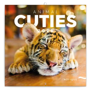 Wall calendar 2026 Cubs