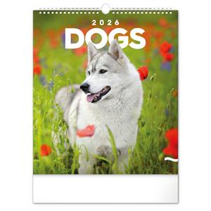 Wall calendar 2026 Dogs
