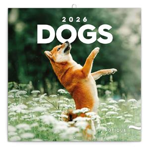 Wall calendar 2026 Dogs