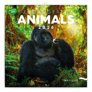 Wall calendar 2026 Endangered species